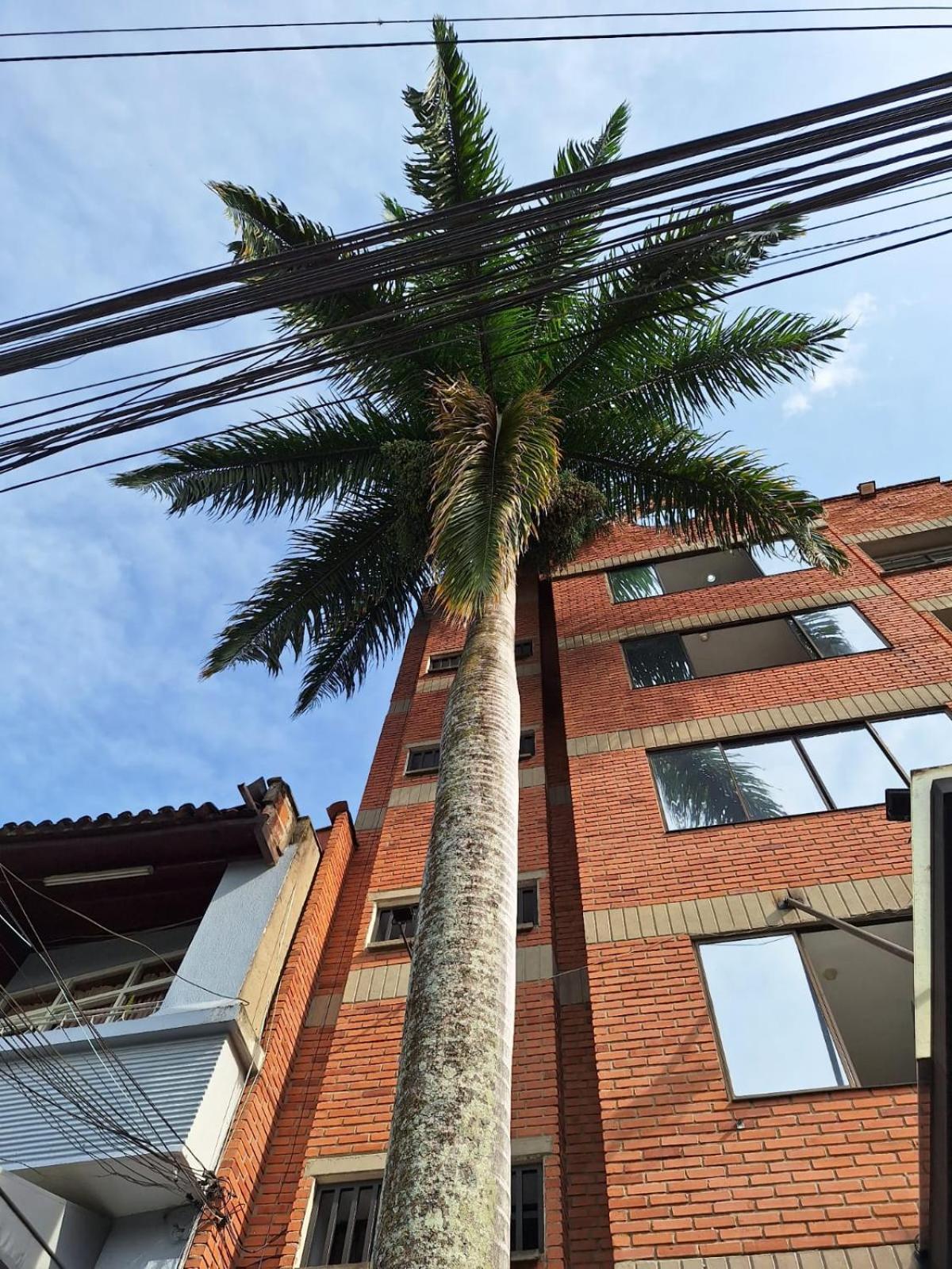 Hotel Suramericana Medellín Exteriör bild
